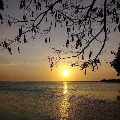 An Ocean Of Light : An Ocean of Light An Ocean Of Light : An Ocean of Light